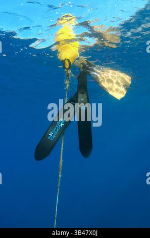Ottobre 15, 2014 - Mar Egeo, isola di Symi, Grecia - alette fissate alla boa, Mar Egeo, isola di Symi, Grecia (credito Immagine: © Andrey Nekrasov/ZUMA filo/ZUMAPRESS.com) Foto Stock