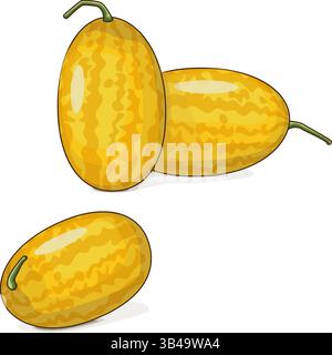 Oro in anguria d'oro. Citrullus lanatus. Frutta e verdura. Clipart. Illustrazione vettoriale isolata. Illustrazione Vettoriale