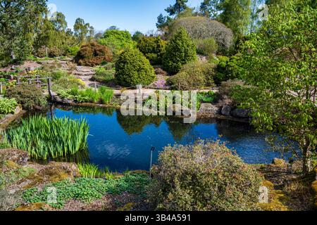 Laghetto con giardino roccioso nel Royal Botanic Garden di Edimburgo, Scozia, Regno Unito Foto Stock