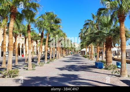 Palme lungo una passeggiata pedonale lastricata a Sahl Hasheesh, in Egitto, in una giornata di sole con cieli limpidi e edifici turistici sullo sfondo. Foto Stock