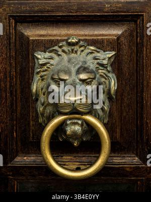 14 giugno 2015 - battente porta antica che rappresenta un leone (immagine di credito: © Igor Golovniov/filo ZUMA) Foto Stock