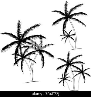 Set di composizioni disegnate a mano da palme nere. Inchiostro a linee grafiche vettoriali isolato. Sagome delle palme. Progettazione di palme per manifesti, striscioni o p Illustrazione Vettoriale