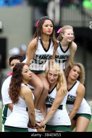 17 ottobre 2015: Una cheerleader dei Portland State Vikings intrattiene i tifosi durante la partita di football NCAA tra i Vikings e i Montana State Bobcats a Providence Park, Portland, OREGON. Larry C. Lawson/CSM(immagine di credito: © Larry C. Lawson/CSM tramite filo ZUMA) Foto Stock