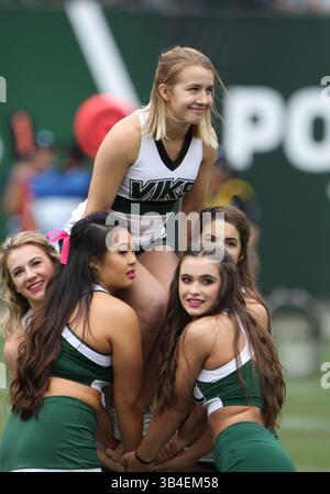 17 ottobre 2015: Una cheerleader dei Portland State Vikings intrattiene i tifosi durante la partita di football NCAA tra i Vikings e i Montana State Bobcats a Providence Park, Portland, OREGON. Larry C. Lawson/CSM(immagine di credito: © Larry C. Lawson/CSM tramite filo ZUMA) Foto Stock