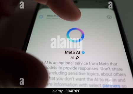 Persona che utilizza il chatbot Meta ai sullo schermo di uno smartphone, mostrando logo e dettagli dell'interfaccia Foto Stock