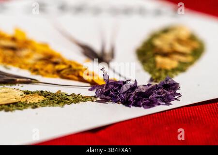 Primo piano di fiori secchi ed erbe disposte su carta, coloratissimi materiali botanici utilizzati per rituali fatti a mano o composizione artigianale. Foto Stock