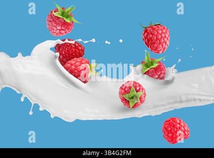 Spruzzi di latte e lamponi freschi in aria su sfondo blu Foto Stock