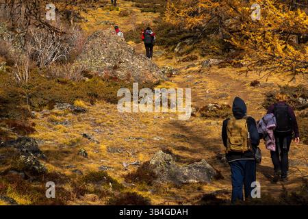 Gli escursionisti attraversano un sentiero panoramico nel bosco in autunno, circondato da alberi dorati e rocce aspre. Foto Stock