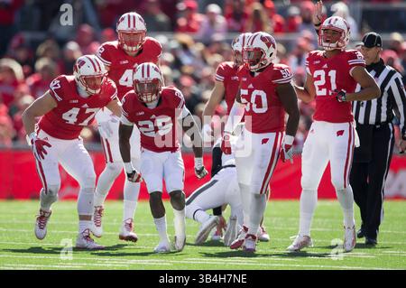 17 ottobre 2015: Il cornerback dei Wisconsin Badgers Derrick Tindal n. 25 celebra un sack durante la partita di football NCAA tra i Purdue Boilermakers e i Wisconsin Badgers al Camp Randall Stadium di Madison, WISCONSIN. John Fisher/CSM(immagine di credito: © John Fisher/CSM tramite cavo ZUMA) Foto Stock
