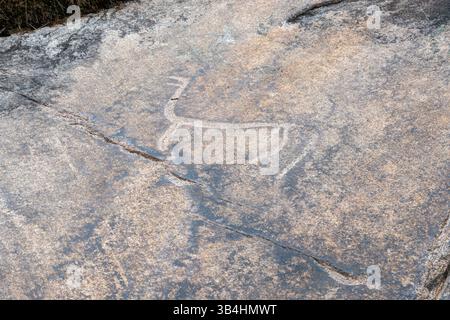 Famose incisioni rupestri risalenti a 3000 anni fa al Tanum, sito Patrimonio dell'Umanità, a Vitlycke, Svezia Foto Stock