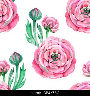 ranunculus rosa e acquerello verde motivo senza cuciture. Stampa ad acquerello con motivi floreali estivi Foto Stock