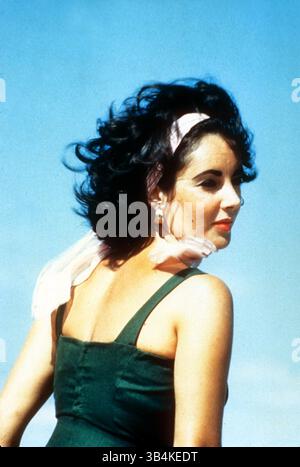 FOTO DEL FILE - ELIZABETH TAYLOR, 79 anni, è nata il 27 febbraio 1932 in Inghilterra. Liz, due volte vincitrice di un Oscar, dea del cinema e pioniera attivista dell'AIDS, i cui matrimoni off-screen (8), divorzi e gesta depredatori di morte rivaleggiavano, i suoi ruoli drammatici nel cinema. Dame Elizabeth Rosemond Taylor, l'icona britannica-americana, è morta il 23 marzo 2011 per insufficienza cardiaca congestizia, un tiro di schioppo dell'insegna di Hollywood. NELLA FOTO: Film Still - IMPROVVISAMENTE LA SCORSA ESTATE (1960) Foto Stock