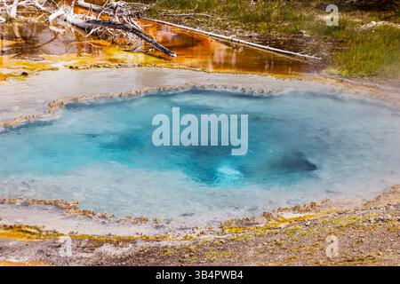 Una vibrante sorgente calda presenta una suggestiva acqua blu, circondata da colorati depositi minerali e vegetazione lussureggiante. La luce del sole illumina la bellezza naturale Foto Stock