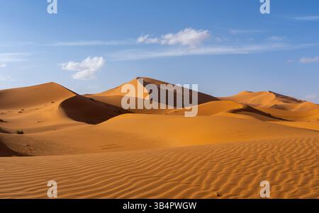 Vista del deserto del Sahara in Marocco, Africa. Il deserto del Sahara è il deserto caldo più grande del mondo. Foto Stock
