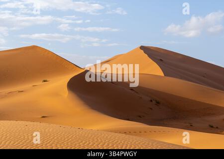 Vista del deserto del Sahara in Marocco, Africa. Il deserto del Sahara è il deserto caldo più grande del mondo. Foto Stock
