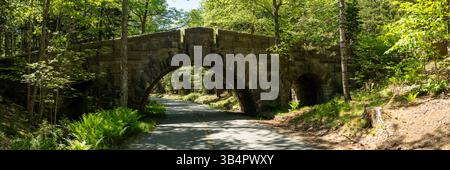 Park Road passa sotto l'Arco di Stanley Brook Bridge nell'Acadia National Park Foto Stock