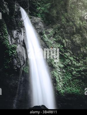 Questa accattivante immagine raffigura una maestosa cascata che si getta attraverso una lussureggiante foresta verdeggiante. Il potente flusso d'acqua si tuffa in una roccia robusta Foto Stock