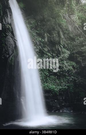 Questa accattivante immagine raffigura una maestosa cascata che si getta attraverso una lussureggiante foresta verdeggiante. Il potente flusso d'acqua si tuffa in una roccia robusta Foto Stock