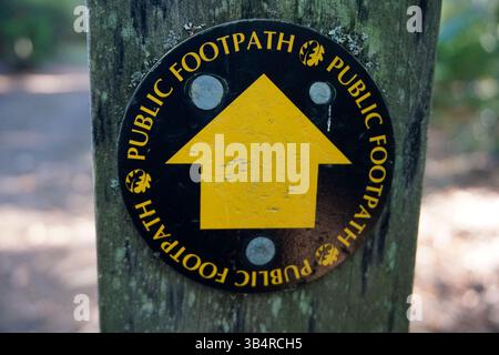 Cartello pubblico con freccia gialla su un palo di legno, che segna un percorso a piedi nella campagna inglese e nel sentiero boscoso. Godalming, Inghilterra Foto Stock