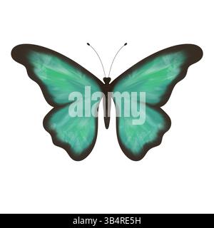 Meravigliosa farfalla turchese e verde. Illustrazione digitale fatta a mano, oggetto isolato Foto Stock