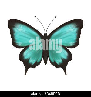 Meravigliosa farfalla turchese e verde. Illustrazione digitale fatta a mano, oggetto isolato Foto Stock