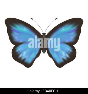 Meravigliosa farfalla blu, viola e turchese. Illustrazione digitale fatta a mano, oggetto isolato Foto Stock