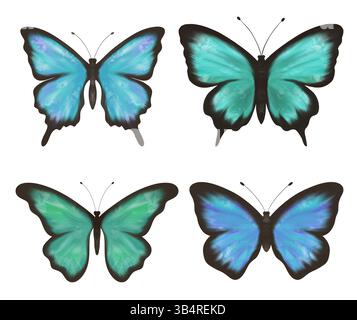Meravigliosa scogliera, set di delicate farfalle blu, verdi, viola e turchesi Foto Stock