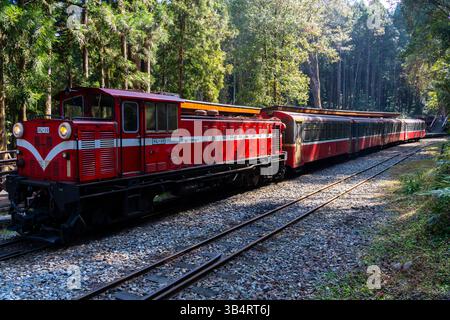 La ferrovia forestale di Alishan è una rete di 86 km. Le ferrovie corrono in tutta la popolare località di montagna di Alishan nella contea di Chiayi, Taiwan. Foto Stock