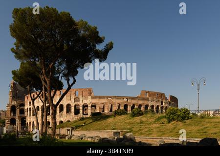 Il Colosseo Romano antica rovina anfiteatro nel centro di Roma, Italia. Foto Stock