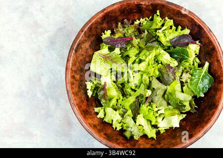 Mix di foglie di insalata verde fresca. Dieta Keto o paleo. Spazio per il testo. Foto Stock