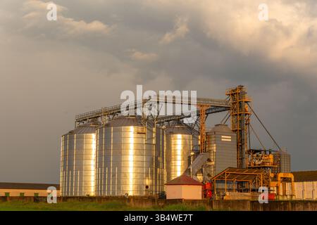 Gruppo di essiccatoi per cereali su un cielo spettacolare e nuvoloso al tramonto. Vista su grani moderni, complessi di essiccazione della granella, silos di cereali commerciali o semi in soleggiati spr Foto Stock