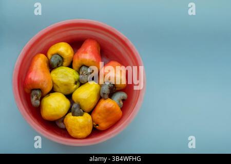 Frutta di anacardi cruda matura raccolta dal giardino. Vista ravvicinata dei colorati frutti di anacardi in una ciotola su sfondo azzurro. Nessuno, selecti Foto Stock
