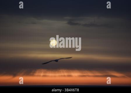 Barcellona, Spagna. 1° maggio 2025. Il sole sorge dietro un sottile velo di nuvole mattutine nel cielo primitivo. Credito: SOPA Images Limited/Alamy Live News Foto Stock