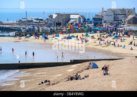 Lyme Regis, Dorset, Regno Unito. 1 maggio 2025. Meteo nel Regno Unito: La folla si è affollata sulla graziosa spiaggia della località balneare di Lyme Regis per sfruttare al meglio il caldo clima soleggiato prima del fine settimana di inizio maggio Bank Holiday. Crediti: Celia McMahon/Alamy Live News Foto Stock