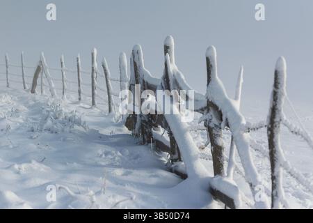 Vecchio cancello in legno su recinzione di bestiame in inverno, neve scivolata su pali e filo spinato, paesaggio invernale con nebbia sullo sfondo Foto Stock