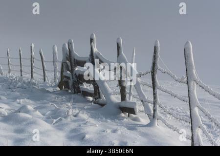 Vecchio cancello in legno su recinzione di bestiame in inverno, neve scivolata su pali e filo spinato, paesaggio invernale con nebbia sullo sfondo Foto Stock