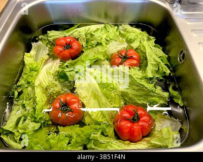 Le verdure fresche dell'insalata e i pomodori vengono lavati con acqua nel lavandino della cucina prima di preparare i pasti a casa Foto Stock