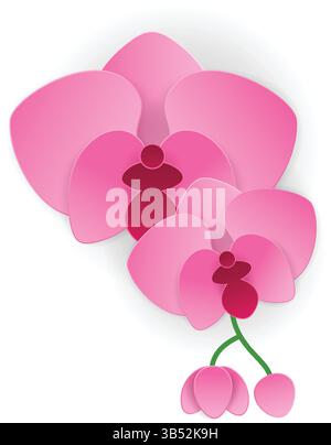 Icona topica isolata del vettore del fiore dell'orchidea rosa Illustrazione Vettoriale