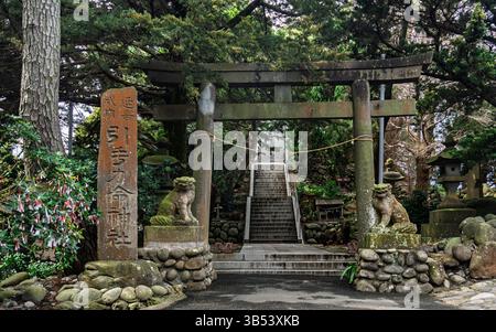 Una vista serena di un tradizionale ingresso al santuario shintoista in Giappone, incorniciato da una porta torii in pietra intemprata e fiancheggiato da un cane-leone komainu ricoperto di muschio Foto Stock