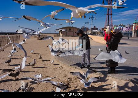 Un uomo e una donna danno da mangiare ai gabbiani su una spiaggia sabbiosa. Un bambino è tenuto dalla donna. Numerosi gabbiani li circondano, alcuni in volo, altri a terra. Foto Stock