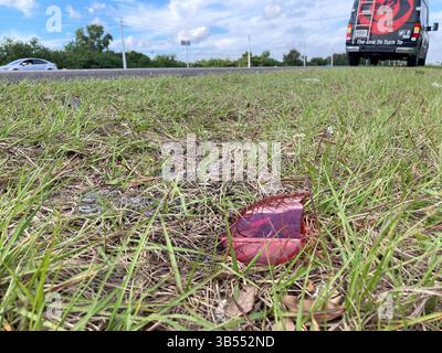19 aprile 2022: Sei persone sono morte a causa di una collisione avvenuta il 27 gennaio 2022 a West Delray, Florida, sulla South State Road 7, secondo l'ufficio dello sceriffo della contea di Palm Beach. (Immagine di credito: © Wells Dusenbury/Sun Sentinel/TNS tramite ZUMA Press Wire) Foto Stock