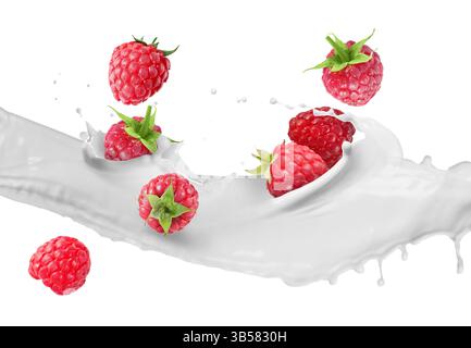 Spruzzi di latte e lamponi freschi all'aria su sfondo bianco Foto Stock