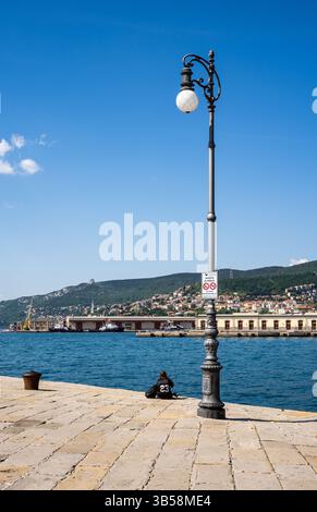 Un lampione nel molo Molo audace lungo le rive di Trieste che si estende sul mare, di fronte a Piazza Unità d'Italia, Trieste, Italia Foto Stock