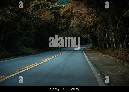 Strada a due corsie che attraversa un paesaggio forestale in Brasile Foto Stock