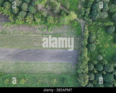 Vista aerea di un'area agricola nelle Filippine Foto Stock