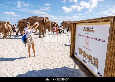 Miami Beach, Florida, 35th Street, Art Basel, evento annuale, The Great Elephant Migration, Wooden Elephants, Collective di coesistenza, designer Shubhra Nayar, pub Foto Stock