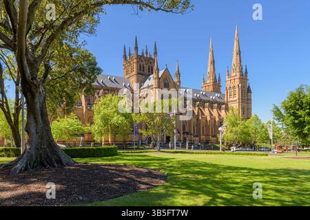 Cattedrale di Santa Maria, costruita in stile neogotico vista da Hyde Park, Sydney, nuovo Galles del Sud, Australia Foto Stock