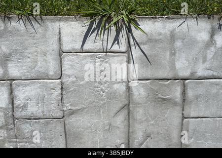 Parete in calcestruzzo con struttura piastrellata e erba verde che cresce sopra. Superficie esterna, dettagli paesaggistici, assenza di persone, contrasto naturale e urbano. Foto Stock