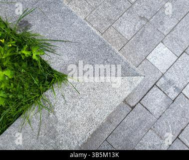 Dettaglio geometrico della pavimentazione in pietra e dell'erba verde che cresce tra le piastrelle di granito. Paesaggio urbano, contrasto tra natura e struttura, nessuna gente. Foto Stock
