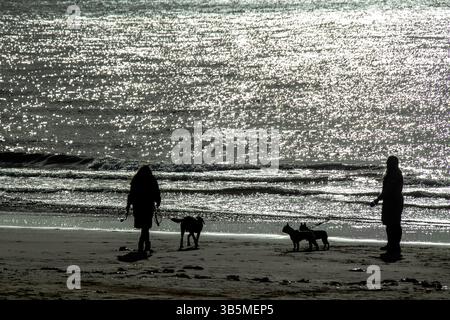 Sillhouettes di due persone che camminano con i cani sulla spiaggia con il mare Foto Stock